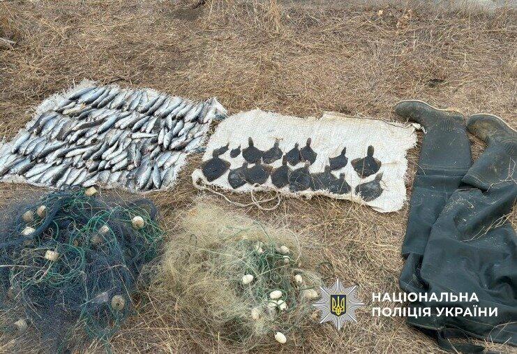 На «Тузлівських лиманах» затримали браконьєра з вражаючою кількістю незаконного вилову