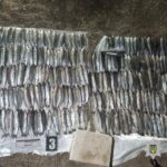 Нічні уловки: в Одещині браконьєр рибалив попри комендантську годину.