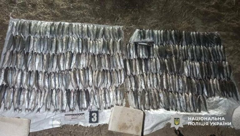 Нічні уловки: в Одещині браконьєр рибалив попри комендантську годину.