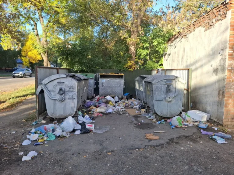 Як у Полтаві борються з хаотичним викиданням сміття: штрафи та стихійні звалища