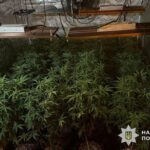 Національна поліція знищила наркокартель в Одесі та Києві: захоплено 27 млн гривень у кокаїні з Іспанії – ФОТО