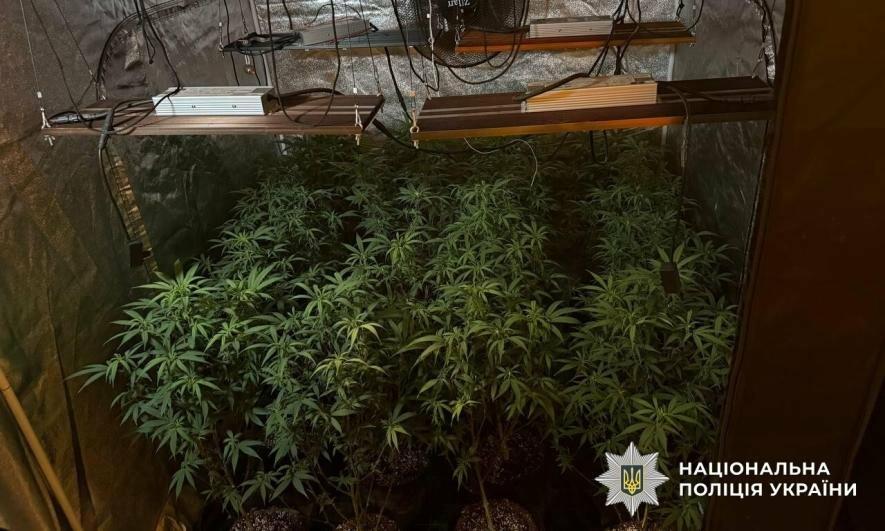 Національна поліція знищила наркокартель в Одесі та Києві: захоплено 27 млн гривень у кокаїні з Іспанії – ФОТО