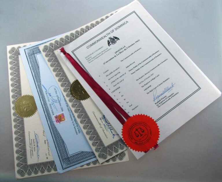 Перевод документов в США: точность, необходимая каждому