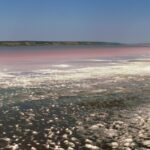 Відновлення Куяльницького лиману: шляхи порятунку від зникнення