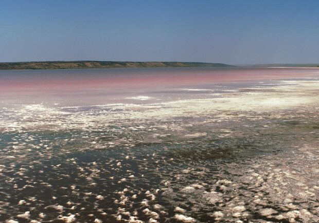 Відновлення Куяльницького лиману: шляхи порятунку від зникнення