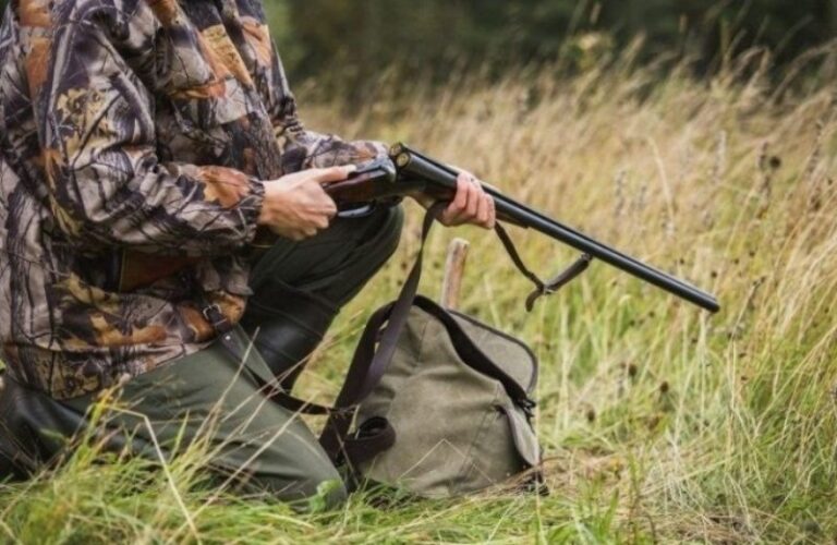 В Одеській області надано дозвіл на відстріл хижих тварин і диких кабанів