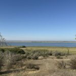 «Висушене серце»: Як кліматичні зміни впливають на біорізноманіття Нижнього Дністра в Одеському регіоні