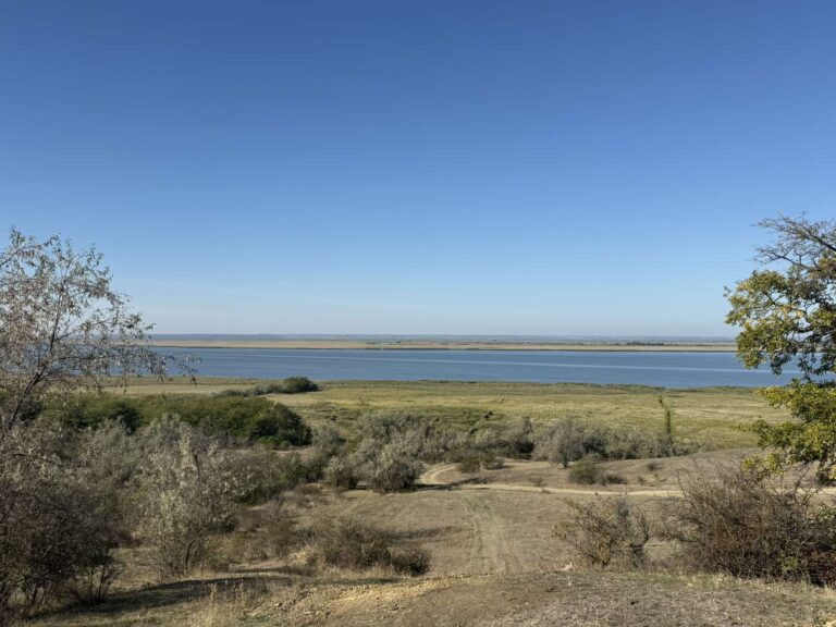 «Висушене серце»: Як кліматичні зміни впливають на біорізноманіття Нижнього Дністра в Одеському регіоні