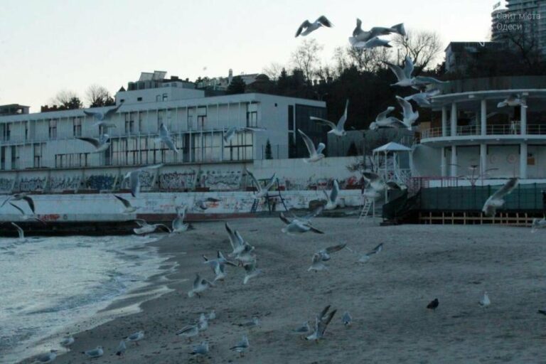 У Одесі розпочали величезний ремонт Траси здоров’я: ділянку в Аркадії закриють до 2026 року.