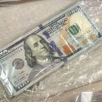 Три лісники з Одещини потрапили під суд за нелегальну вирубку лісу на 2 мільйони гривень – деталі у фотографіях.