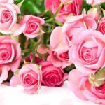 Як створити неповторний букет із троянд своїми руками