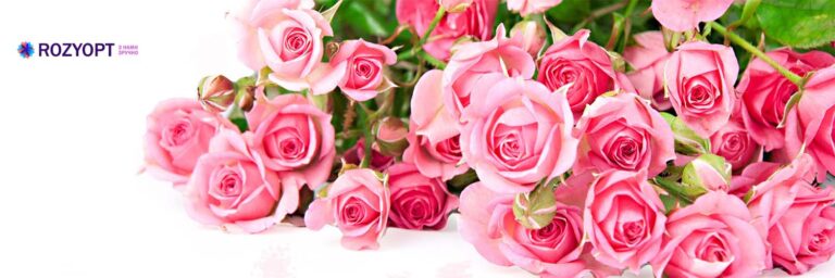 Як створити неповторний букет із троянд своїми руками