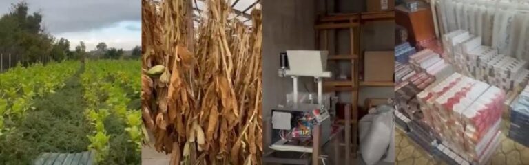 Підпільна фабрика цигарок в Одеській області: як тютюнова мафія розкрилася на відео