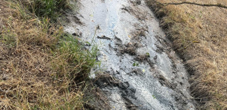 В Одеській області ріка перетворилася на неприємно пахнучий скид через скидання відходів заводу.