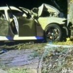 18-річний водій BMW врізався в дерево на вулиці Шевченка: загибель 20-річного пасажира.