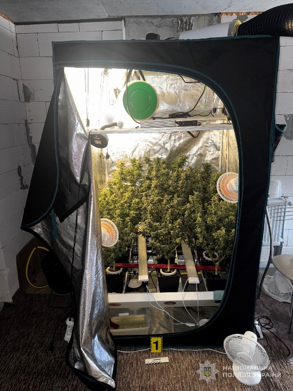 Одеський мешканець створив власну “лабораторію” для вирощування конопель та виробництва канабісу