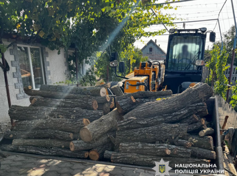 У Білгород-Дністровському районі до суду потраплять два чоловіки за незаконне вирубування понад 80 дерев у лісовій зоні.