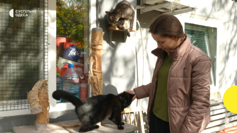 У Одесі під монастирем знайшли притулок для сотень покинутих котів, які за один день потрапили у біду