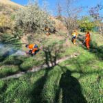 В Одесі відбувається великий суботник