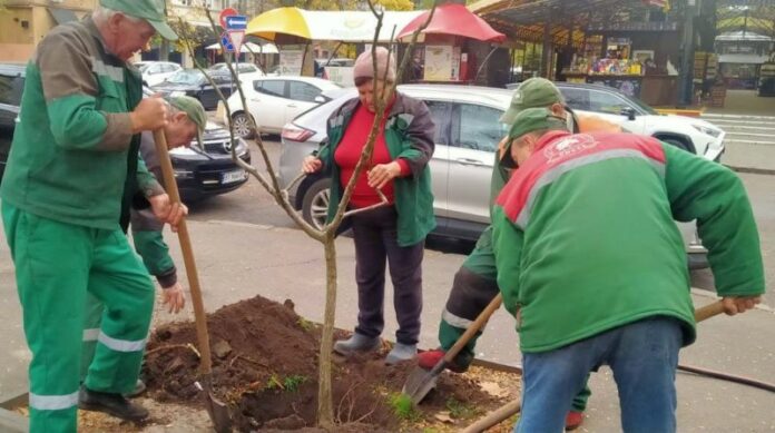 В Одесі стартувало висадження рослин від озеленювачів