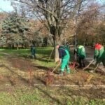 В Одесі висадили нові дерева та плющові саджанці
