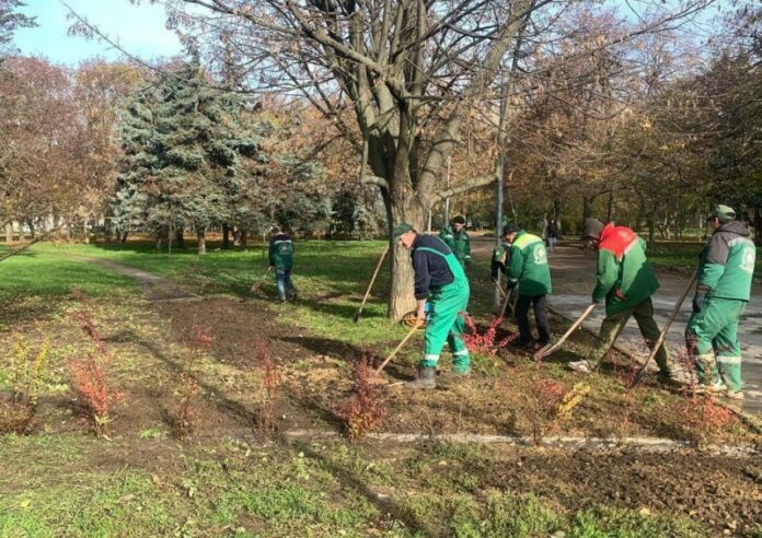 В Одесі висадили нові дерева та плющові саджанці