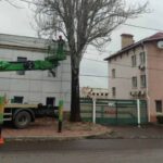В Одесі відбувається демонтаж сухих та небезпечних дерев комунальниками