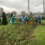 В Одесі реалізують масштабний проект з покращення благоустрою