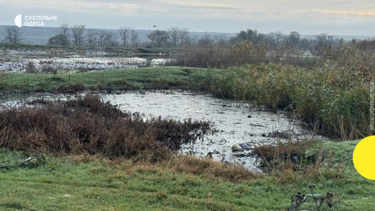 У місті Одещини відсутні очисні споруди, що призводить до забруднення земель каналізаційними стоками