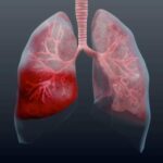 12 листопада 2025: які події відзначаються сьогодні