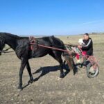 На Одещині запрошують до відновлення кінних перегонів на півдні