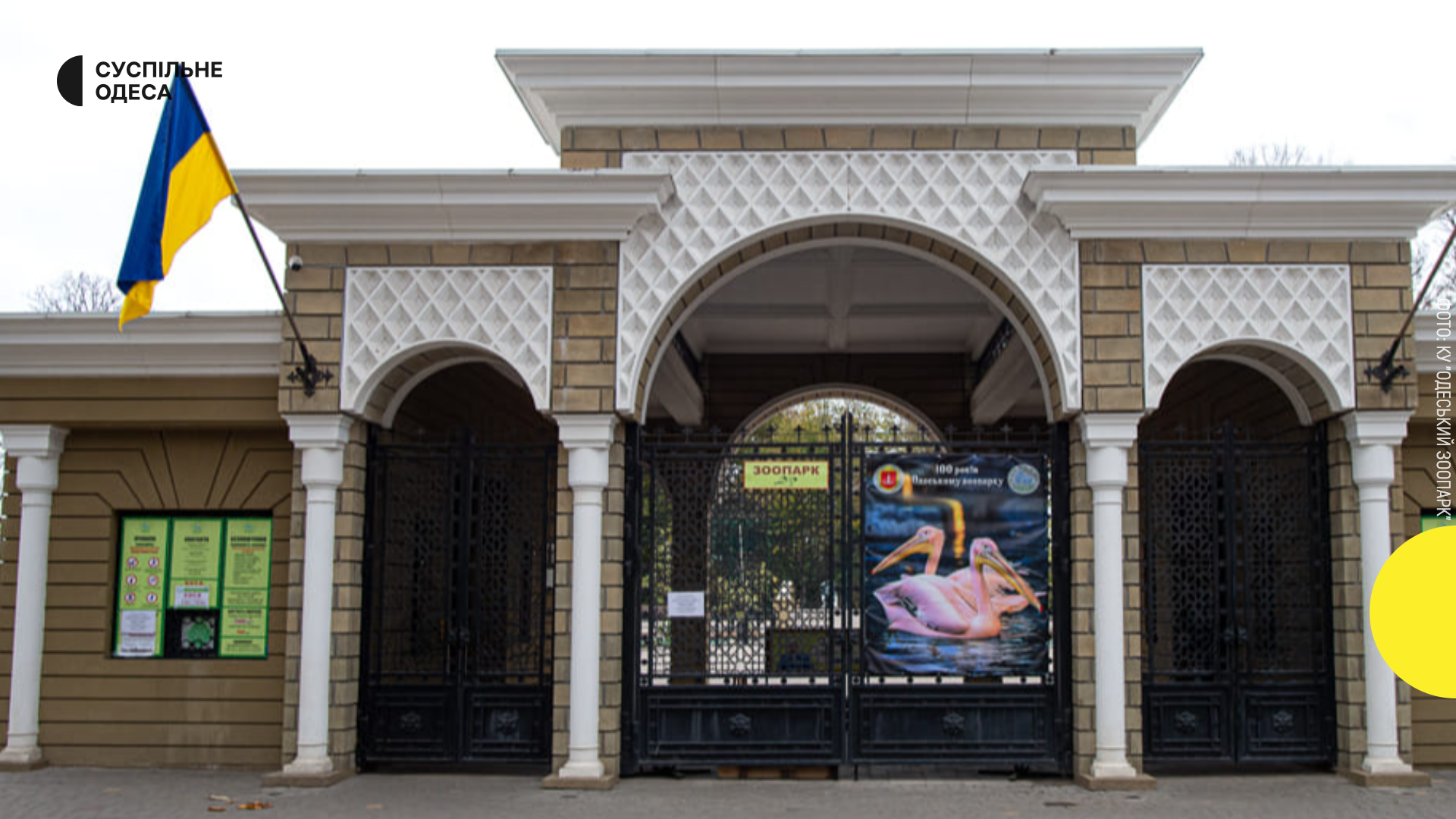 В Одесському зоопарку розпочали розслідування через підозри у жорстокому ставленні до тварин