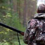 В Одеській області стартував відстріл диких м’ясоїдних тварин і кабанів