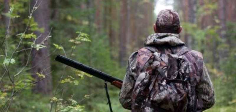 В Одеській області стартував відстріл диких м’ясоїдних тварин і кабанів