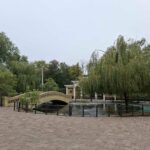 Одеські баталії: Facebook-протистояння, злочини та зоопарк в епіцентрі подій – ФОТО