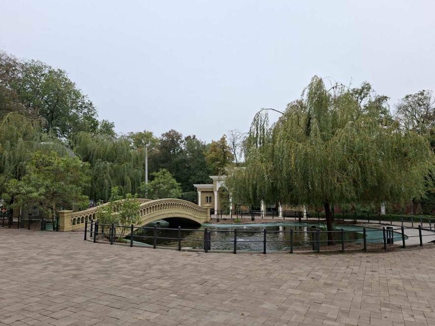 Одеські баталії: Facebook-протистояння, злочини та зоопарк в епіцентрі подій – ФОТО