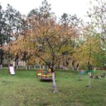 У Болградському районі здійснили дитячі мрії