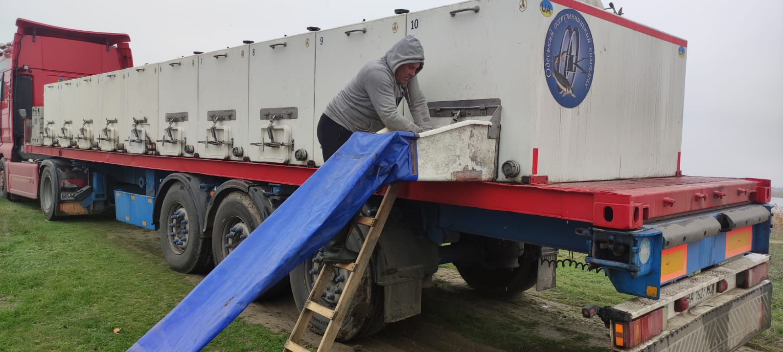 На півдні Одещини стартувало зариблення озера Сасик