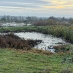 В Одеській області зафіксували значне забруднення ґрунтів стічними водами