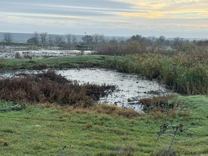 В Одеській області зафіксували значне забруднення ґрунтів стічними водами