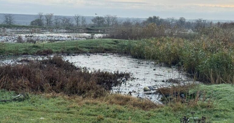 У Болграді екологи повідомляють про повну відсутність очисних споруд для каналізаційних вод