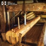 Депутат з Одещини налагодив схему нелегального вивезення лісоматеріалів до Європи