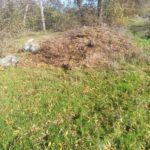 В Одеській області виявлено нелегальне сміттєзвалище