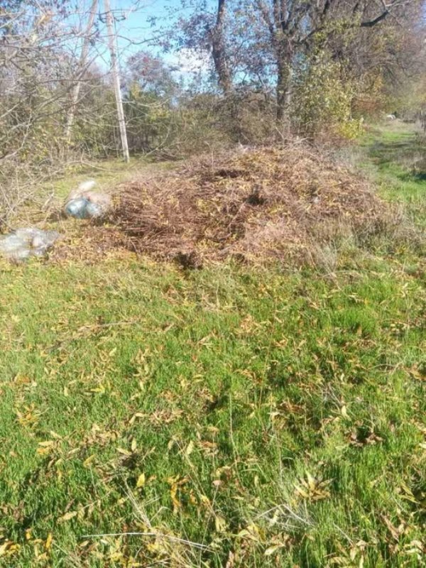 В Одеській області виявлено нелегальне сміттєзвалище