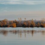 Екологи пояснили, чи варто боятися різкого підвищення рівня води в Дунаї