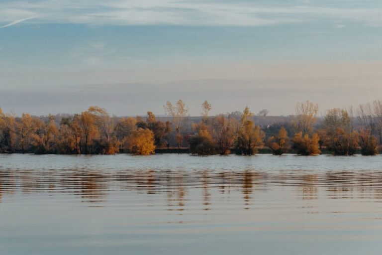 Екологи пояснили, чи варто боятися різкого підвищення рівня води в Дунаї