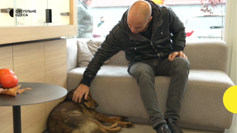 Одеський чоловік відкрив у магазині притулок для зграї собак, назвавши їх драконами