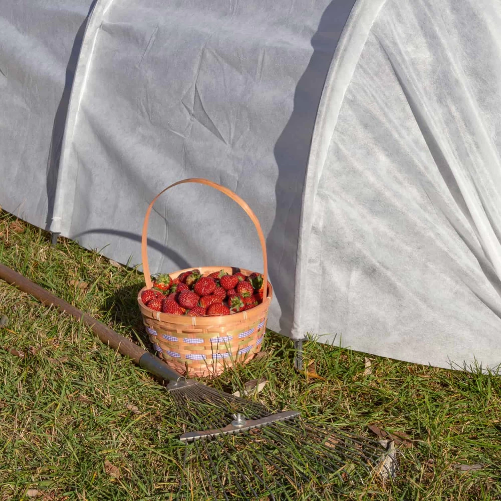 Ранній урожай без клопоту: як обрати парник з агроволокна для захисту розсади