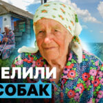 Село з однією вулицею: життя переселенців у Тарасівці на Одещині