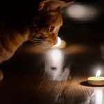 В Одесі оголосили оновлені графіки відключень світла на 27 листопада